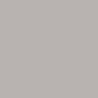 Панель EVOGLOSS  Р003  Темно-серый матовый 18*2800*1220