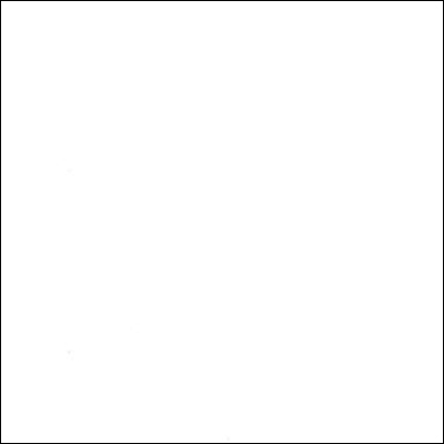 ЛДСП Белый Экспо 10 мм U1605 2750*1830 SM1