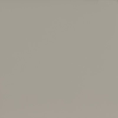 Панель EVOSOFT  EVS003  ПЕПЕЛЬНЫЙ АМЕТИСТ К2 18*2800*1220